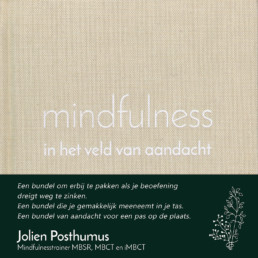 mindfulness in het veld van aandacht – Jolien Posthumus